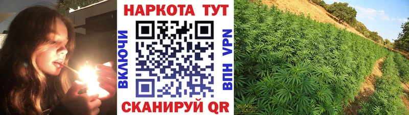 Купить наркоту Гаврилов Посад Гашиш  КОКАИН  МЕГА маркетплейс  А ПВП  Марихуана  Меф 