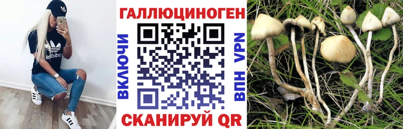 Псилоцибиновые грибы мицелий kraken зеркало Гаврилов Посад наркота